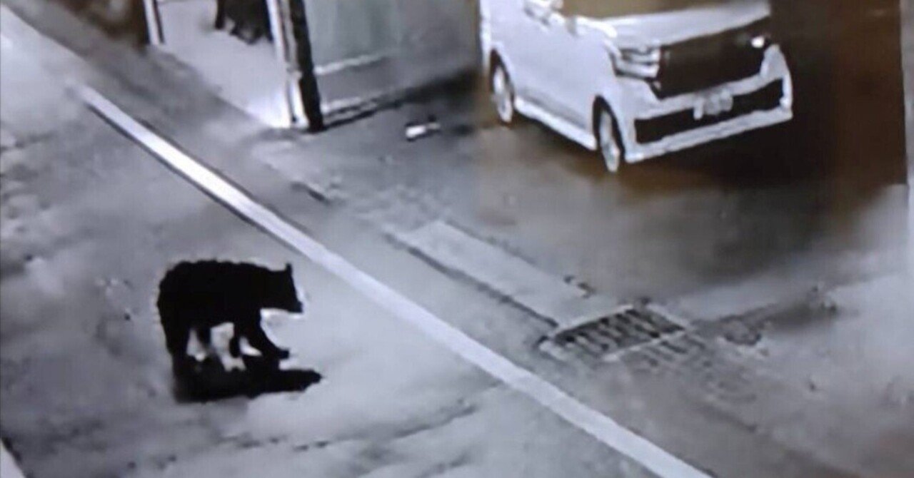 クマ出没でも駆除を急がない」厳しい自然を知る人たちの優しさ｜中山道雄