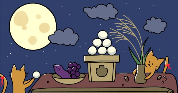 満月たぬき 可愛いタヌキ動画 月夜のたぬき tanuki video｜yohaku_photo