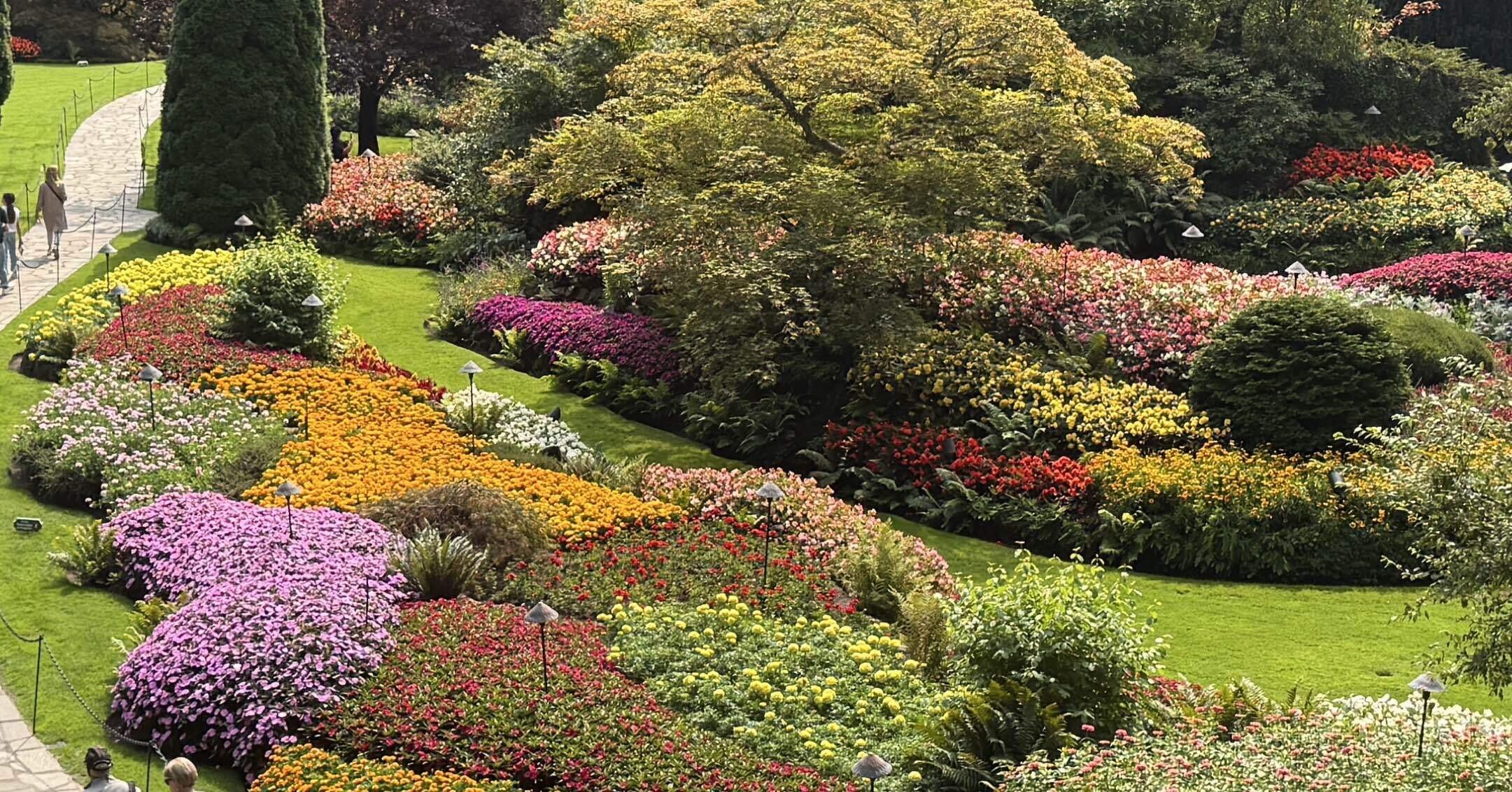 12】カナダ・ビクトリアの美しすぎる庭園！！ブッチャートガーデン観光