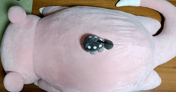 【新品未使用】【送料込み】インテレオン　等身大　ぬいぐるみ　限定 新品未使用】【送料込み】インテレオン 等身大 ぬいぐるみ 限定