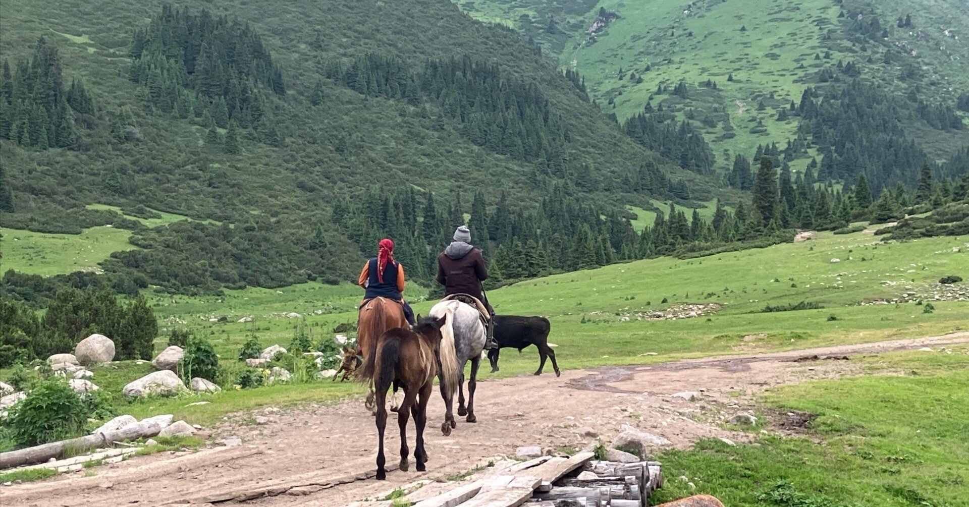 アップリケ キルト タペストリー 山と馬のいる風景 アップリケ キルト