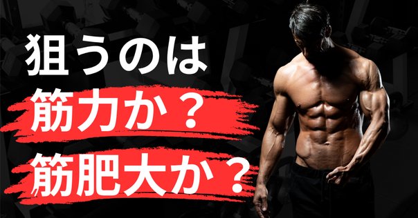 噂の「肉体改造のピラミッド〜トレーニング編〜」を読んでみまし