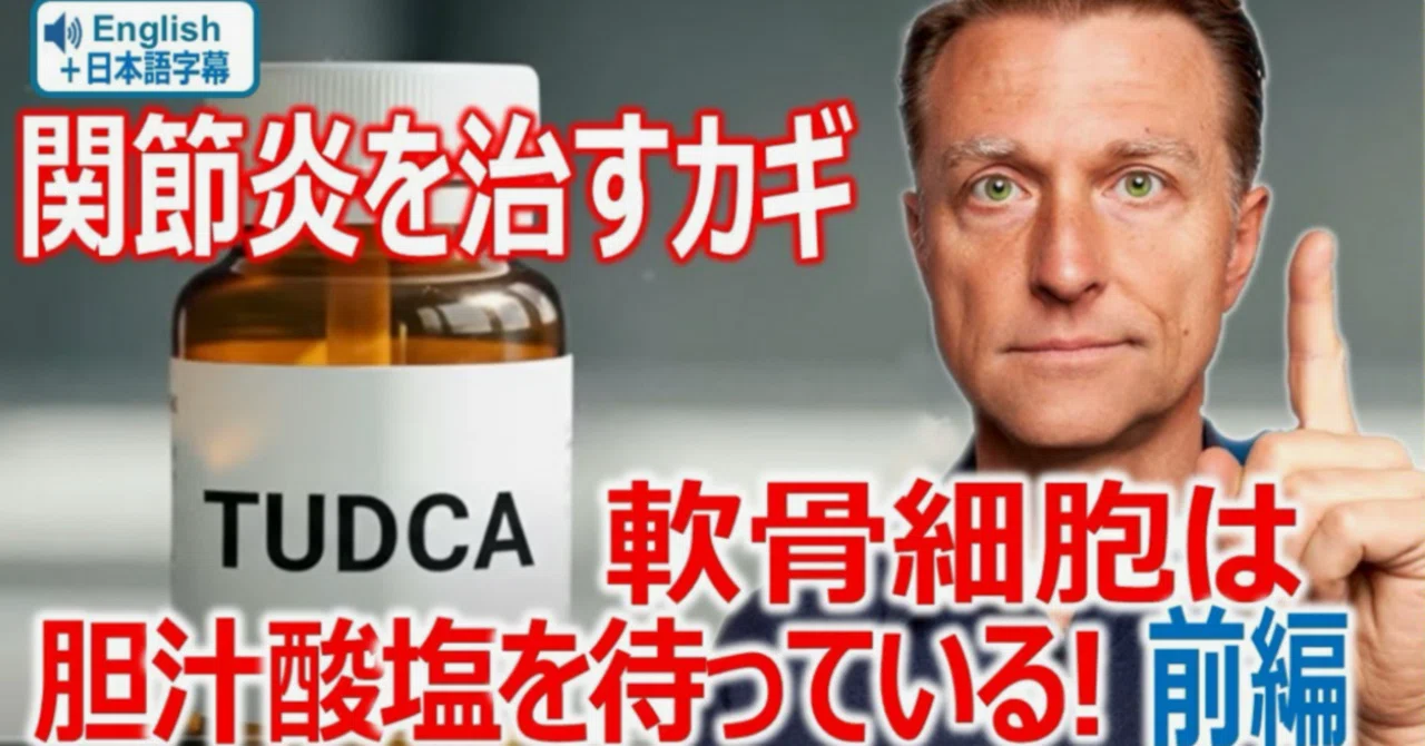 最新｜関節炎を治すカギ — 軟骨細胞は胆汁塩を待っている！ 摂ってははいけない食品と摂るべき食品《前編》｜ドクター・バーグ