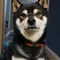 kuro