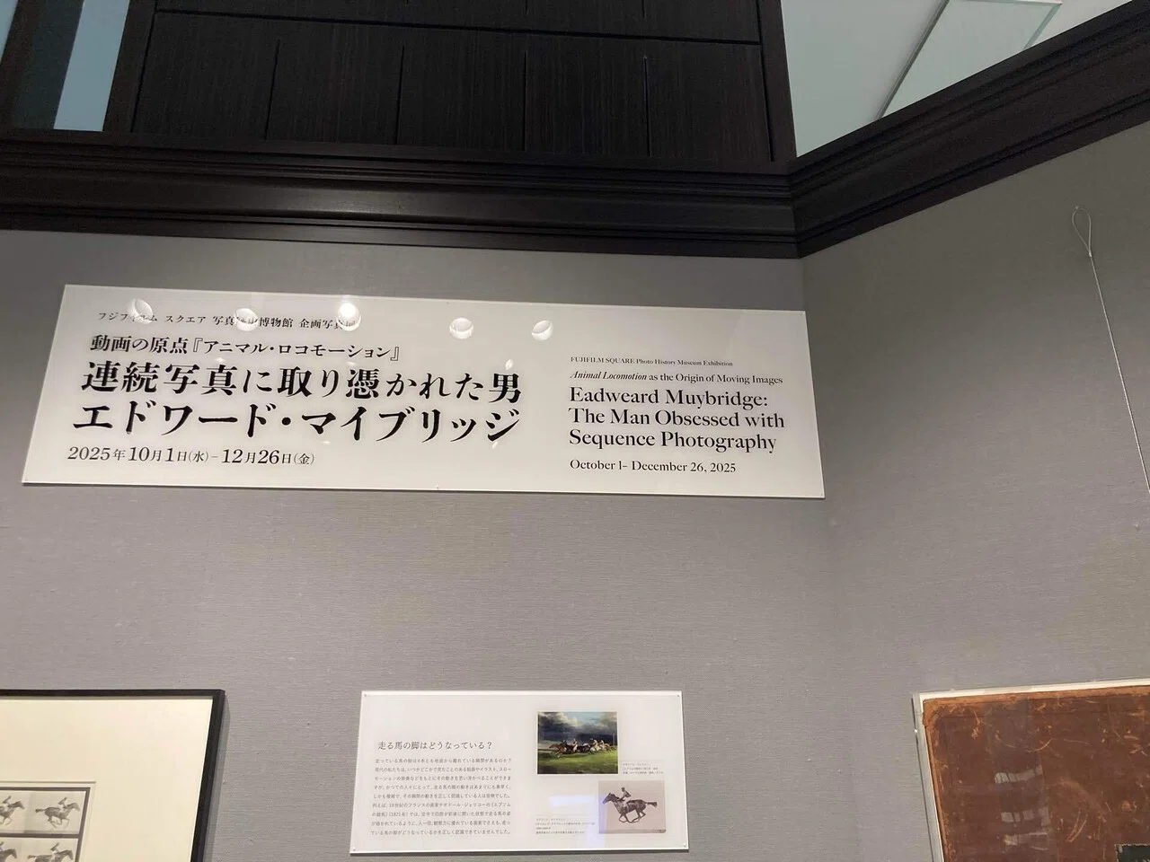 Work Critique I Wanted to Hear in Person: All-Japan Association of 