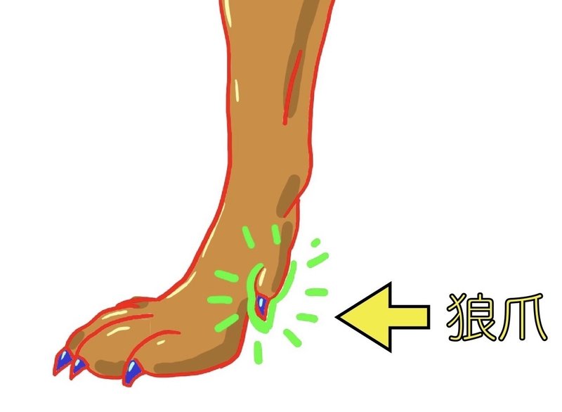 爪切りやってみませんか ドッグライフサポーター 獅子パパ Note 爪切りやってみませんか ドッグライフサポーター 獅子パパ Note
