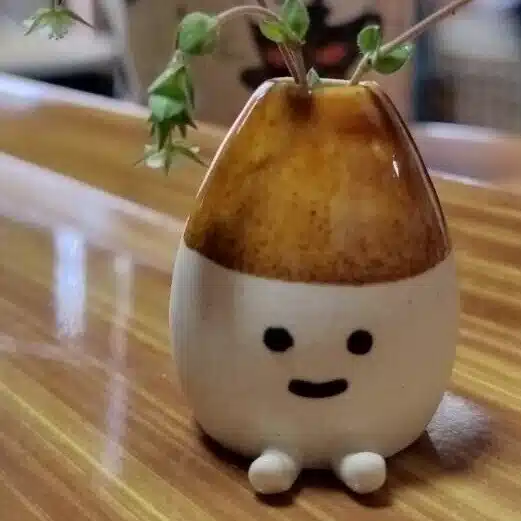 すみっこ