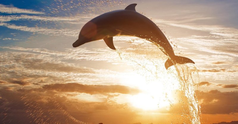 映画 海獣の子供 イルカになりたい 一藤木 朝陽 note