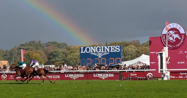 🐎不完全燃焼のロイヤルアスコット2024🐎|アイルトン 🐎不完全燃焼のロイヤルアスコット2024🐎|アイルトン