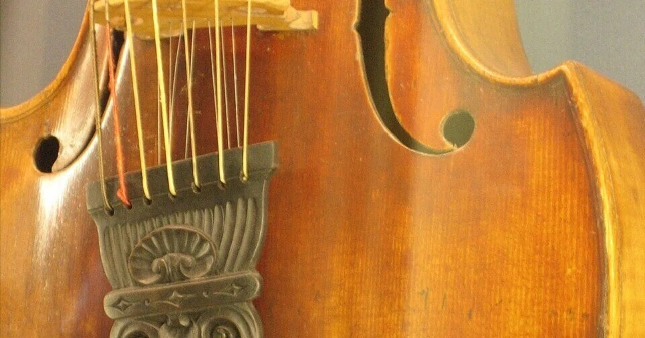 愛のヴィオラ (Viola d'amore) ｜Logophile!