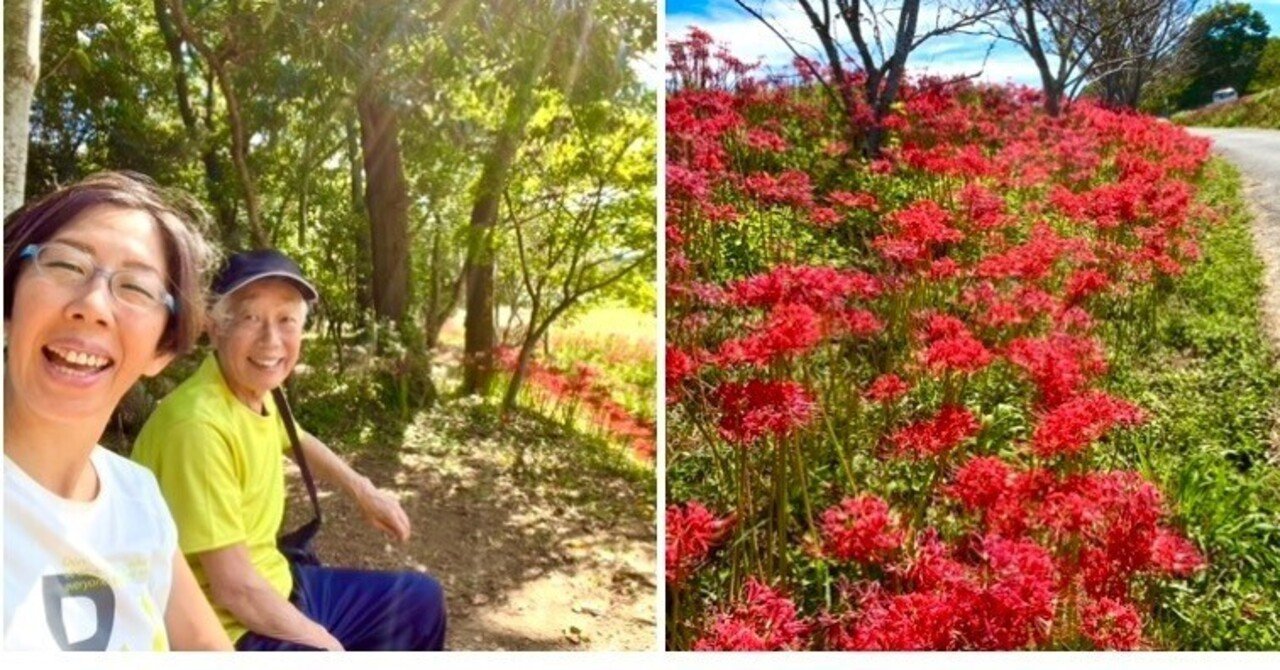 美のはかなさと芸術家の冒険性 1981年 美のはかなさと芸術家の冒険性 1981年