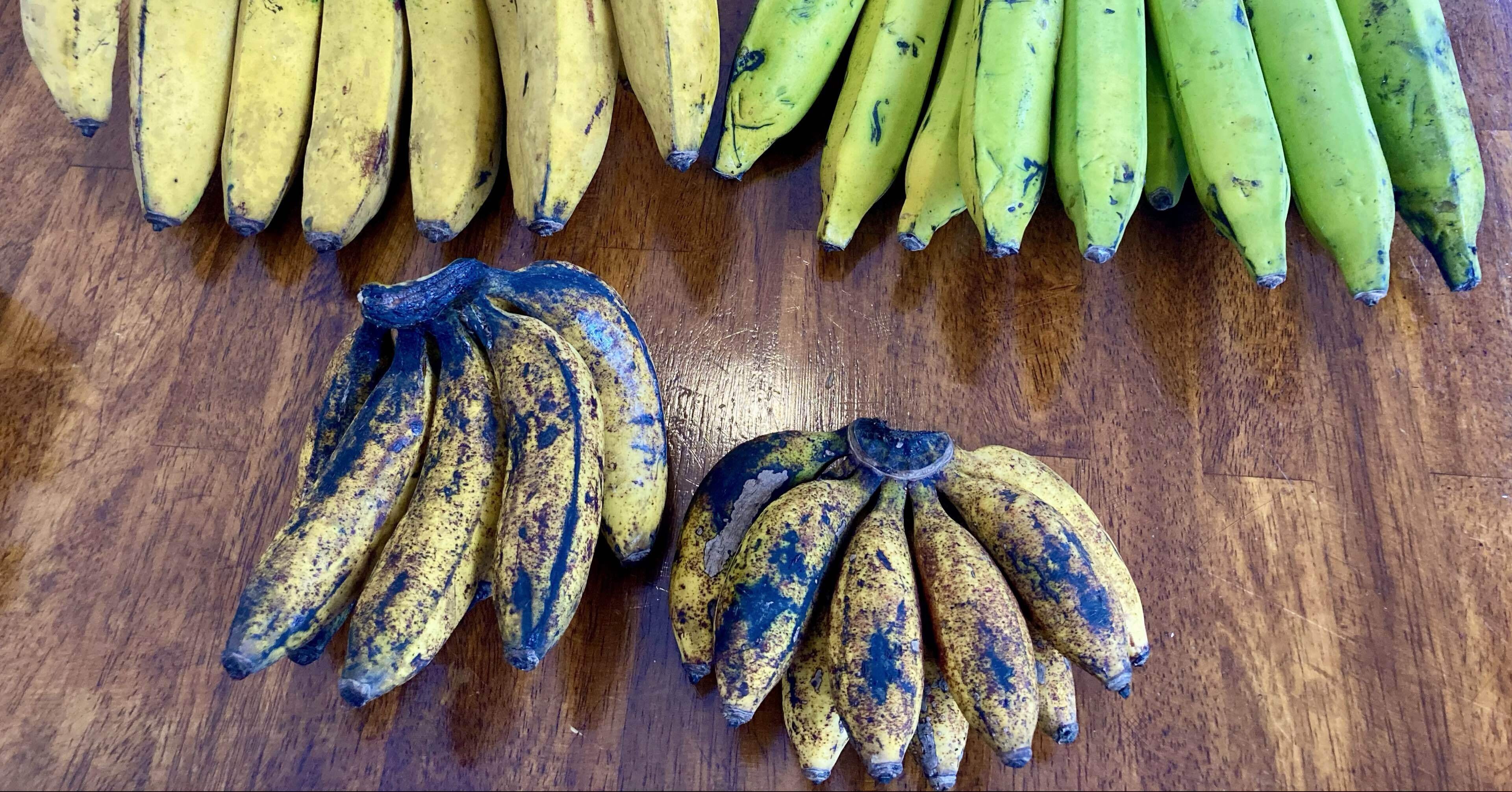 c5529b8ed11b3057976449f9e90ba5