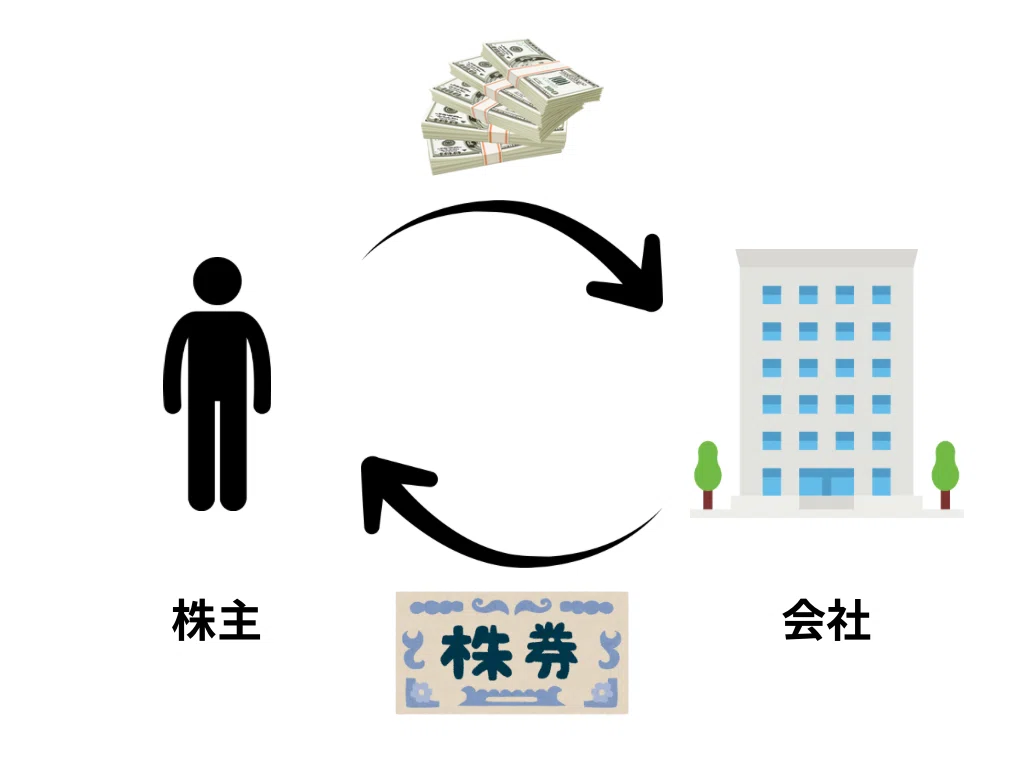 そもそも株って何?|株を買うと何ができる?|わかりやすく解説|株の教科書#1|こう|初心者大学生株主