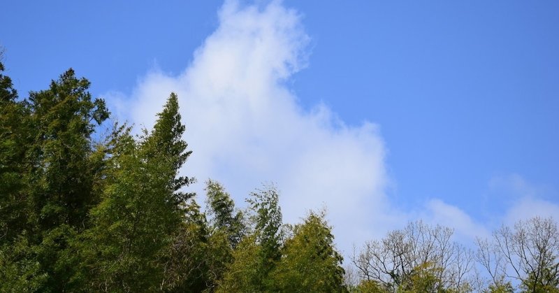 今日の丹波の空（４/２）