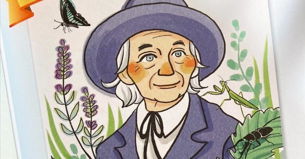 ハエトリくんとふしぎな食虫植物のせかい m80757849007_1.jpg?1739784120