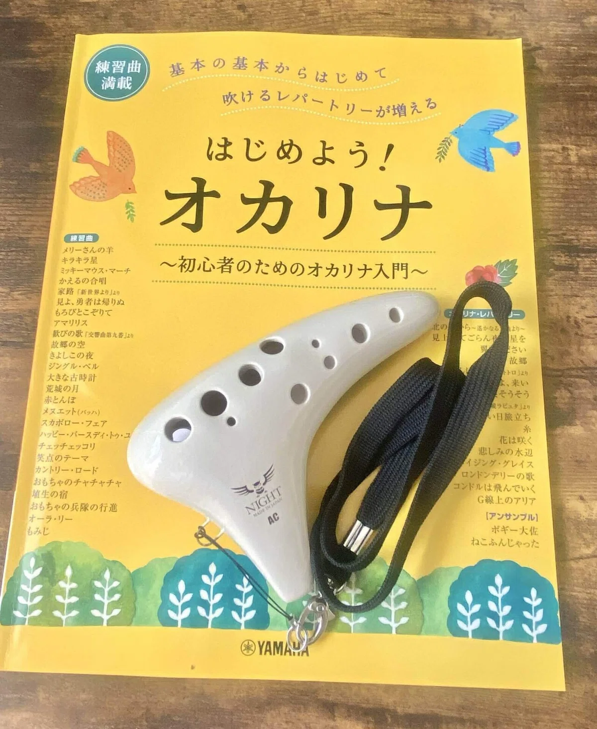 芸術の秋にはじめてのオカリナを｜初心者におすすめの選び方・体験 