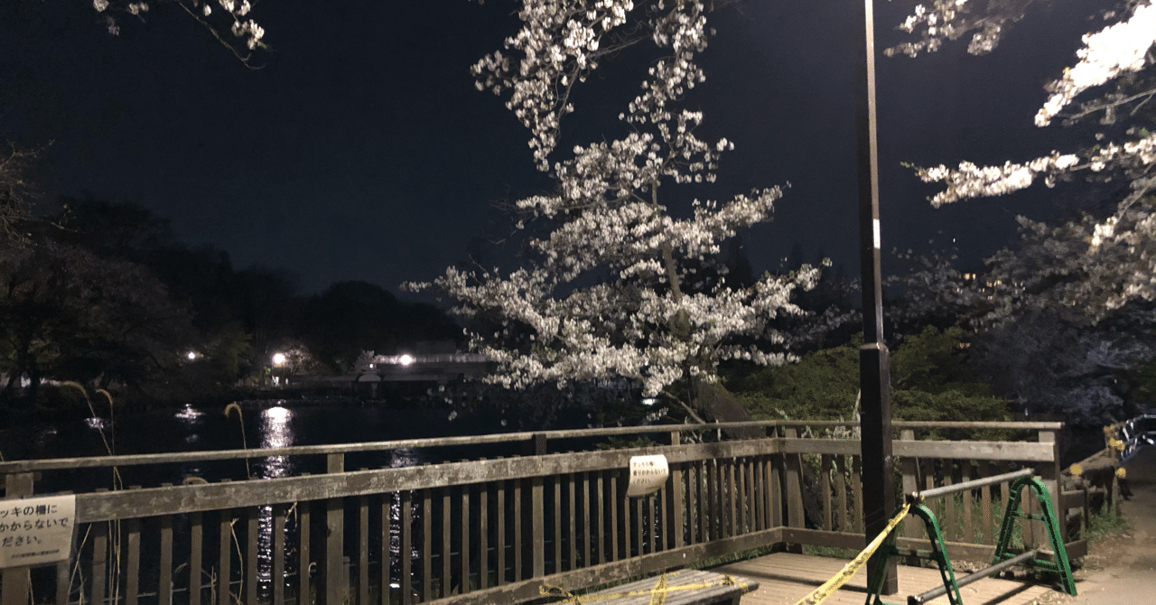 本日の一枚 あまりに静かな井の頭公園の夜桜 田中圭太郎 Note