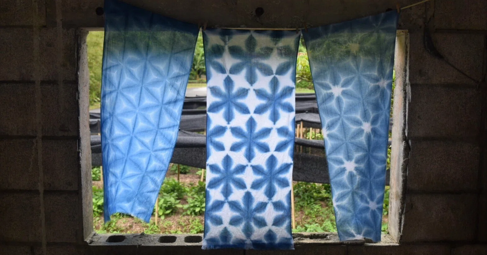 藍と生きる。名護市・三原区の山あいで育つ、琉球藍──Ryukyu Indigo