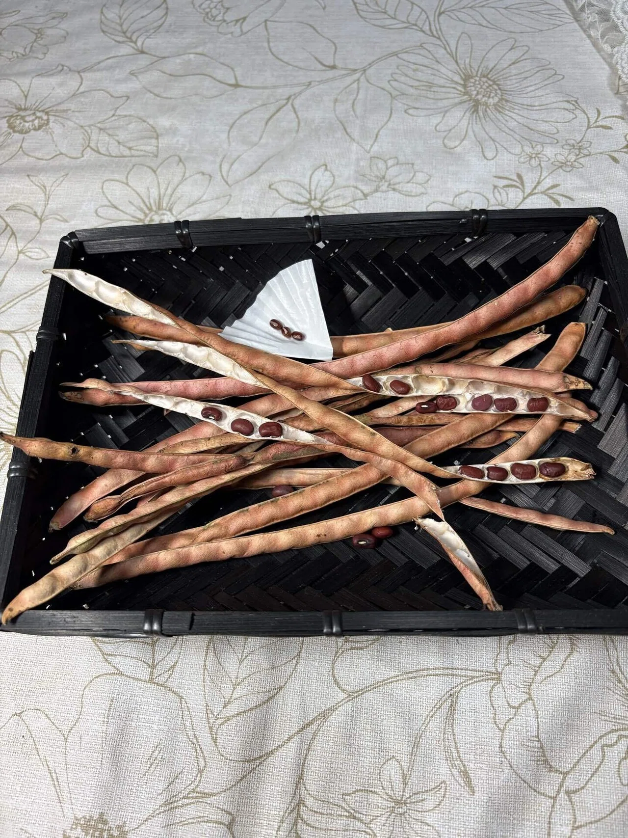 Memories that came back while steaming red bean rice｜結あかり