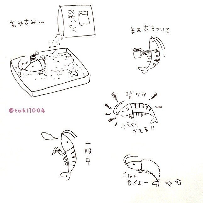 色んな方に Lineスタンプ作らないんですかー って言ってもらえるから 車海老スタンプ考えた イラストレーターとき Note