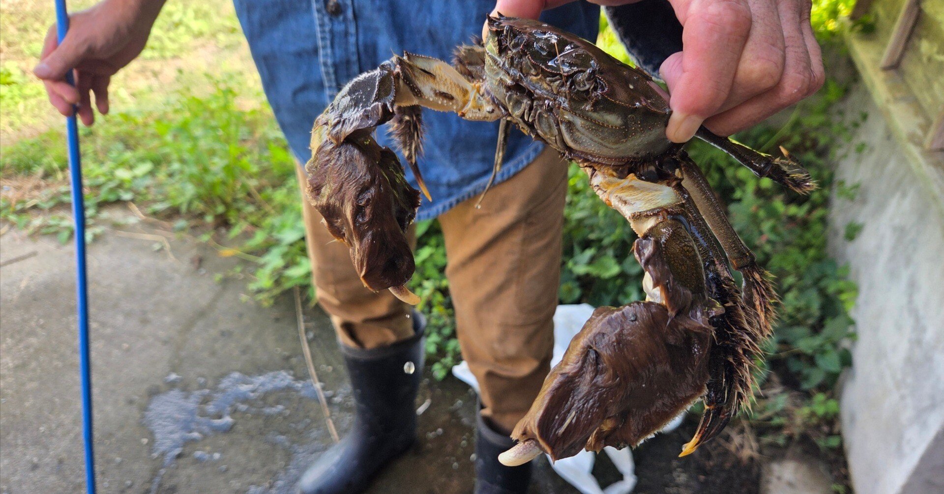 842238934e818fa90f3632c3cbf6ad