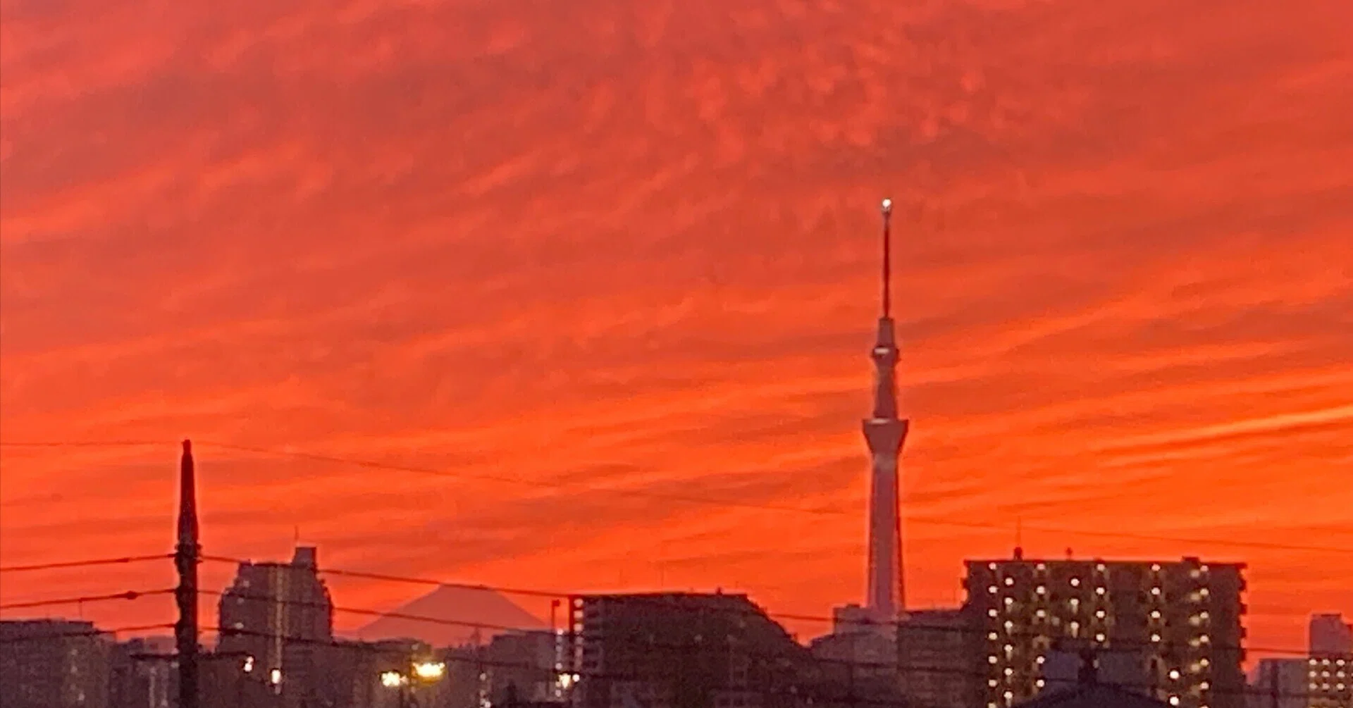 短歌一首】 台風の迫る兆しや夕暮れの寒露は紅蓮の熱を帯びたり｜猫間英介