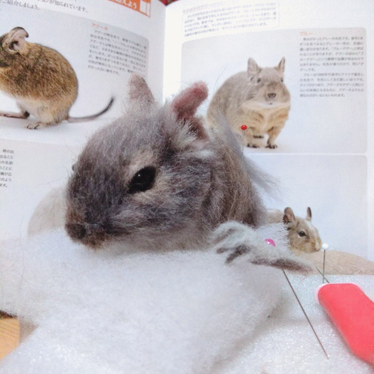 羊毛デグー製作。｜とあん