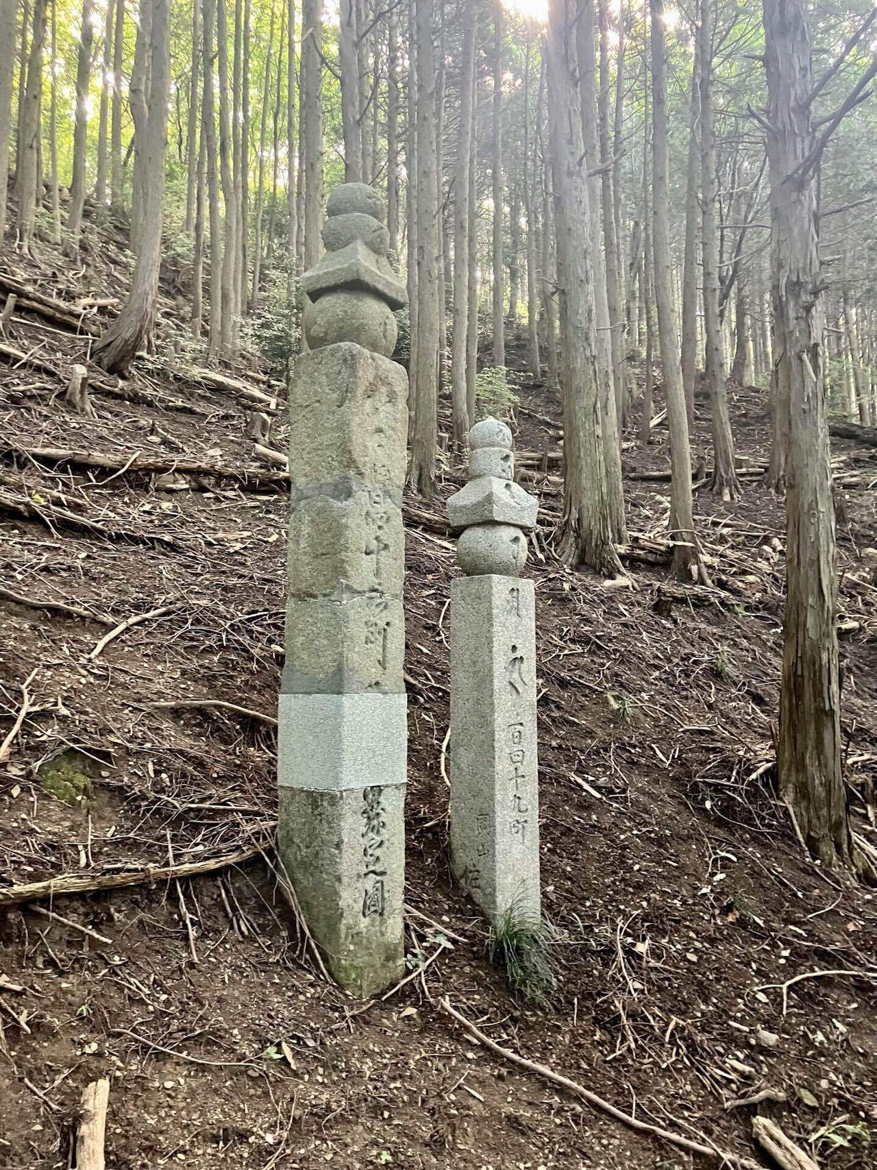 名道500】(和歌山)空海が切り開いた、高野山町石道のみち-22km-｜道案内
