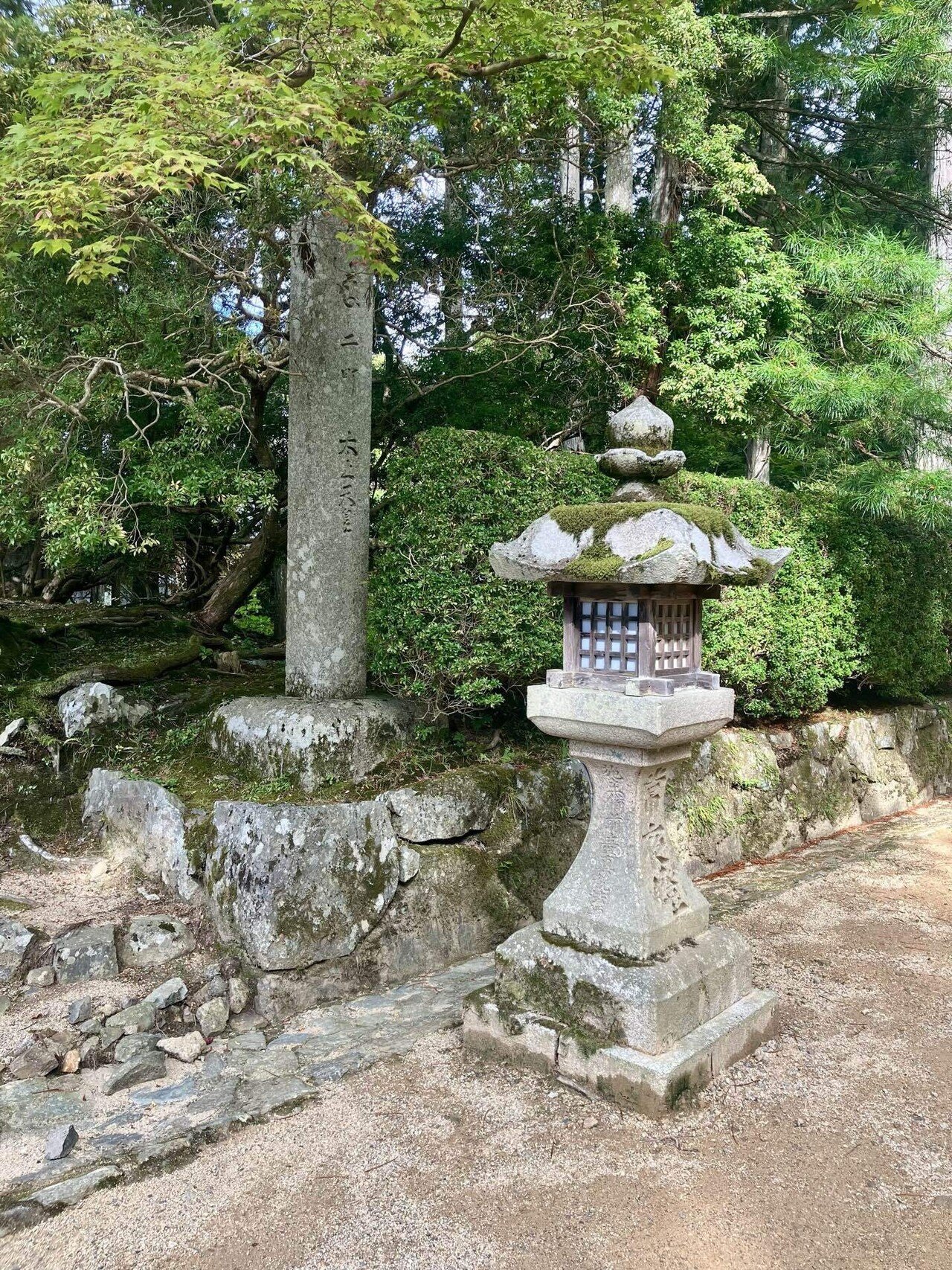 名道500】(和歌山)空海が切り開いた、高野山町石道のみち-22km-｜道案内