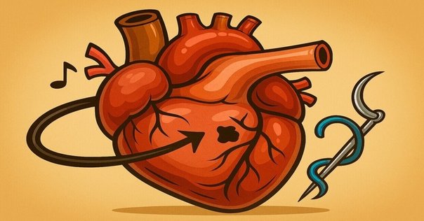 先天性心疾患の手術書【10冊】まとめ！｜たていし みのり | 心臓