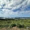 Good TRIP