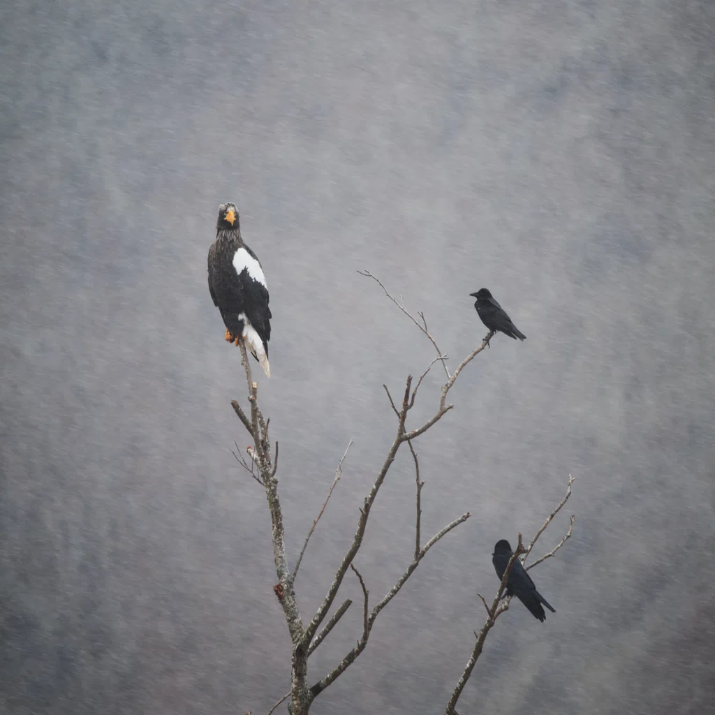 写真】「写真は機材じゃない」も確かにわかるが｜Yusuke Marianne
