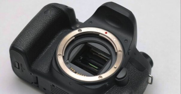 【ショット数少なめ47,858回程】SONY α7Ⅲ レビュー] 約3年間使用した SONY α7III のシャッター回数を知り