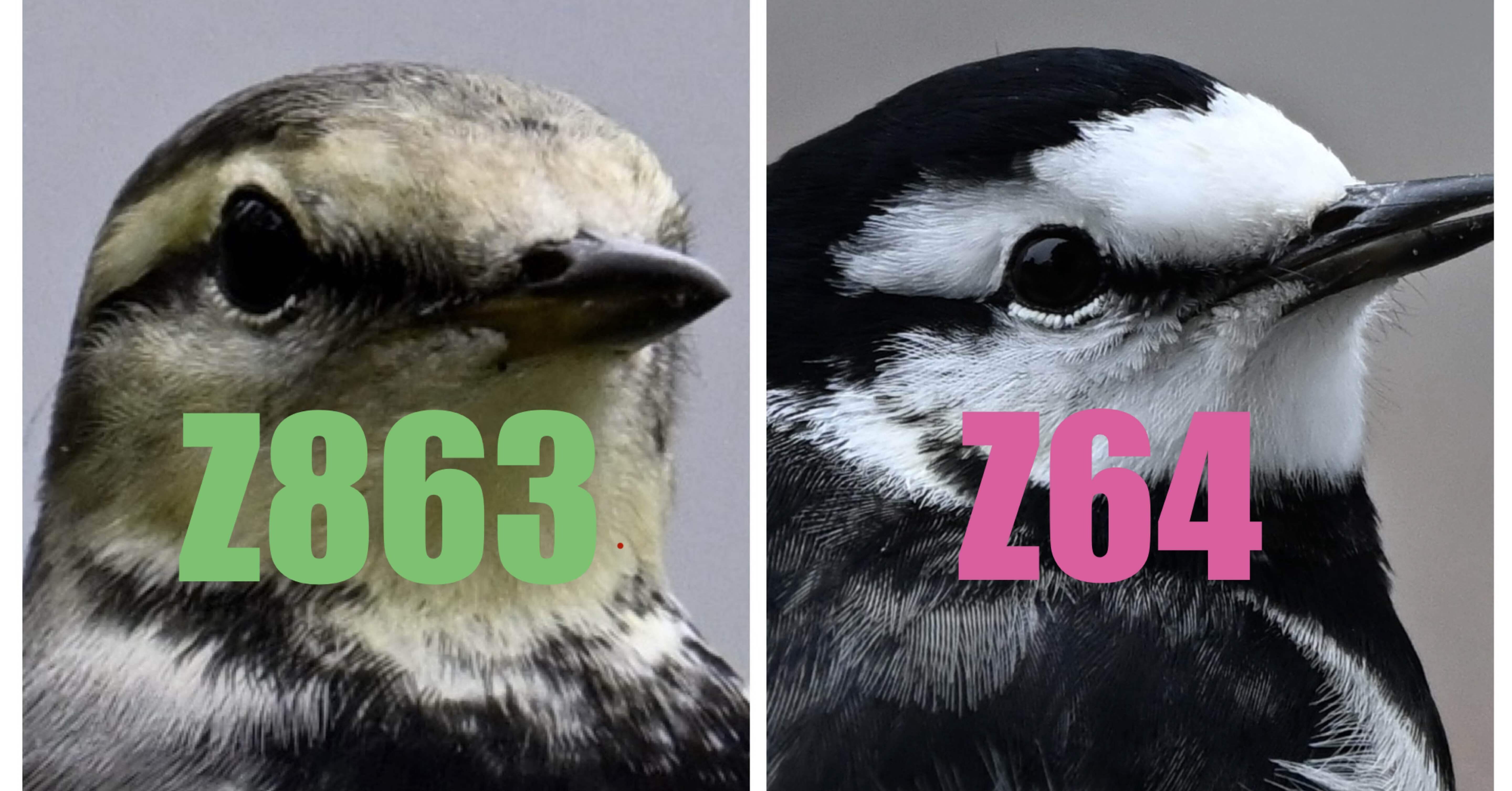 写真】「写真は機材じゃない」も確かにわかるが｜Yusuke Marianne