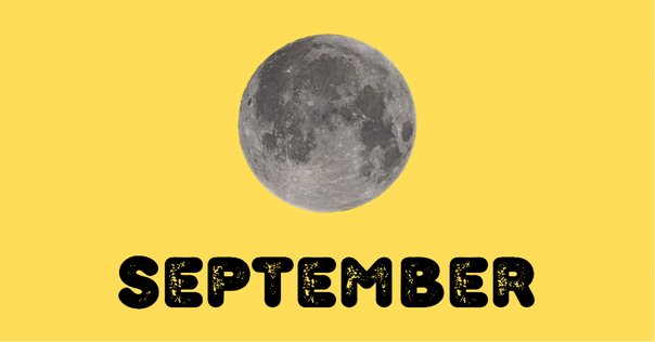 9m88（ジョウエムバーバー）｜五辺宏明