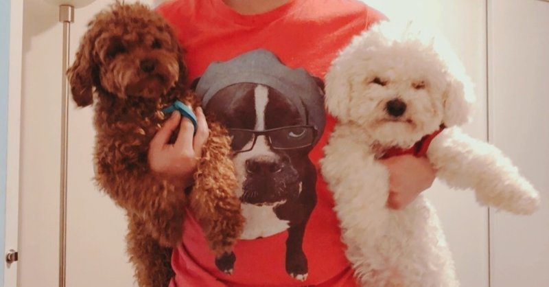 愛する犬おじさん Kiko Note