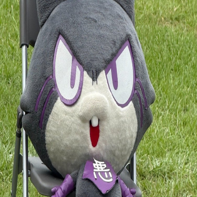 広く浅く｜日向夏