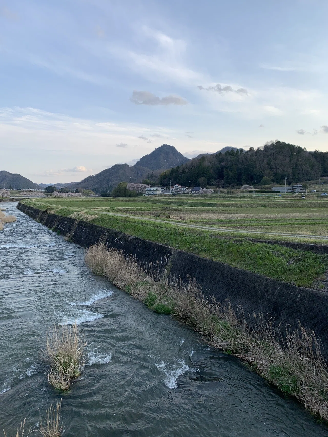 三田市の田園風景|tiikikizuna
