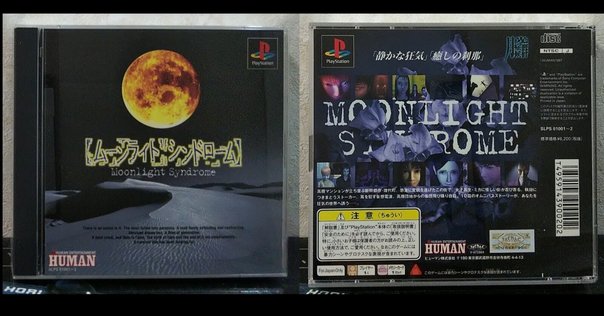 moon UFO エンドネシア　チュウリップ　セット moon UFO エンドネシア チュウリップ セット moon UFO