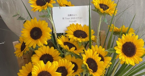 FLOWERS10周年コンサート「Memoire eternelle」特典開封済 FLOWERS10周年コンサート「Memoire eternelle」特典開封済