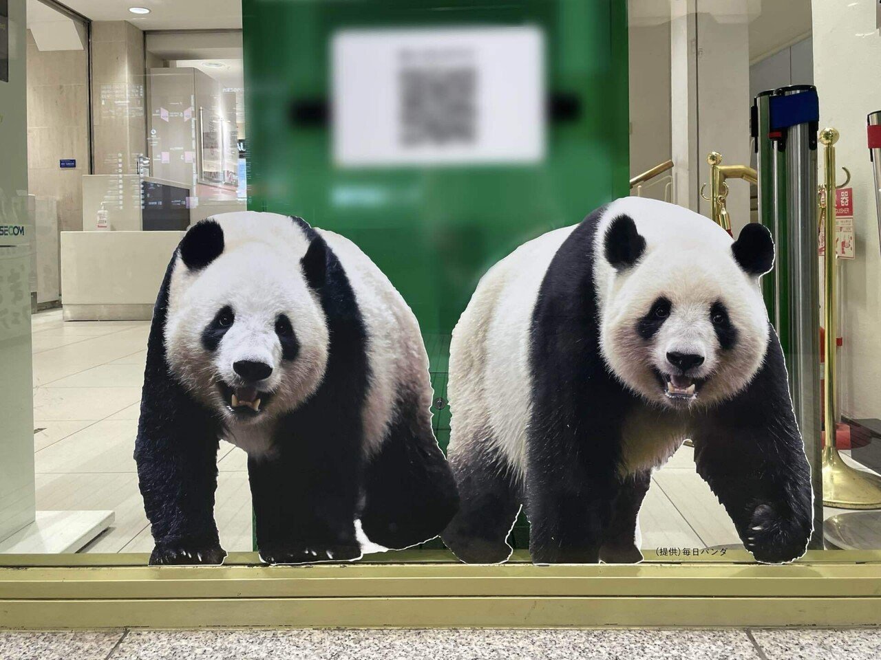 10月8日(水)から松坂屋上野店で「HAPPY PANDAFUL DAYS」を開催！｜上野