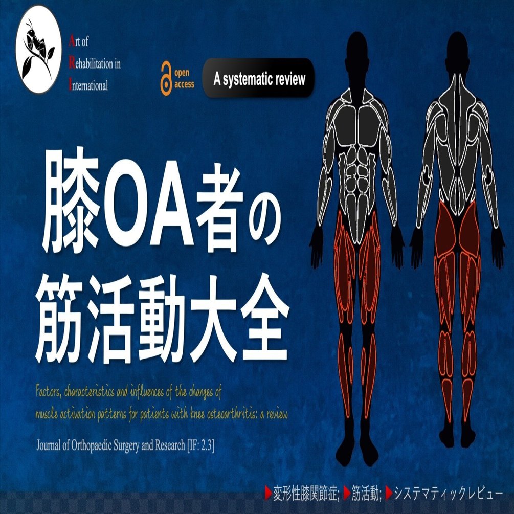変形性膝関節症者の筋活動大全｜Super Human | 理学療法士／保健