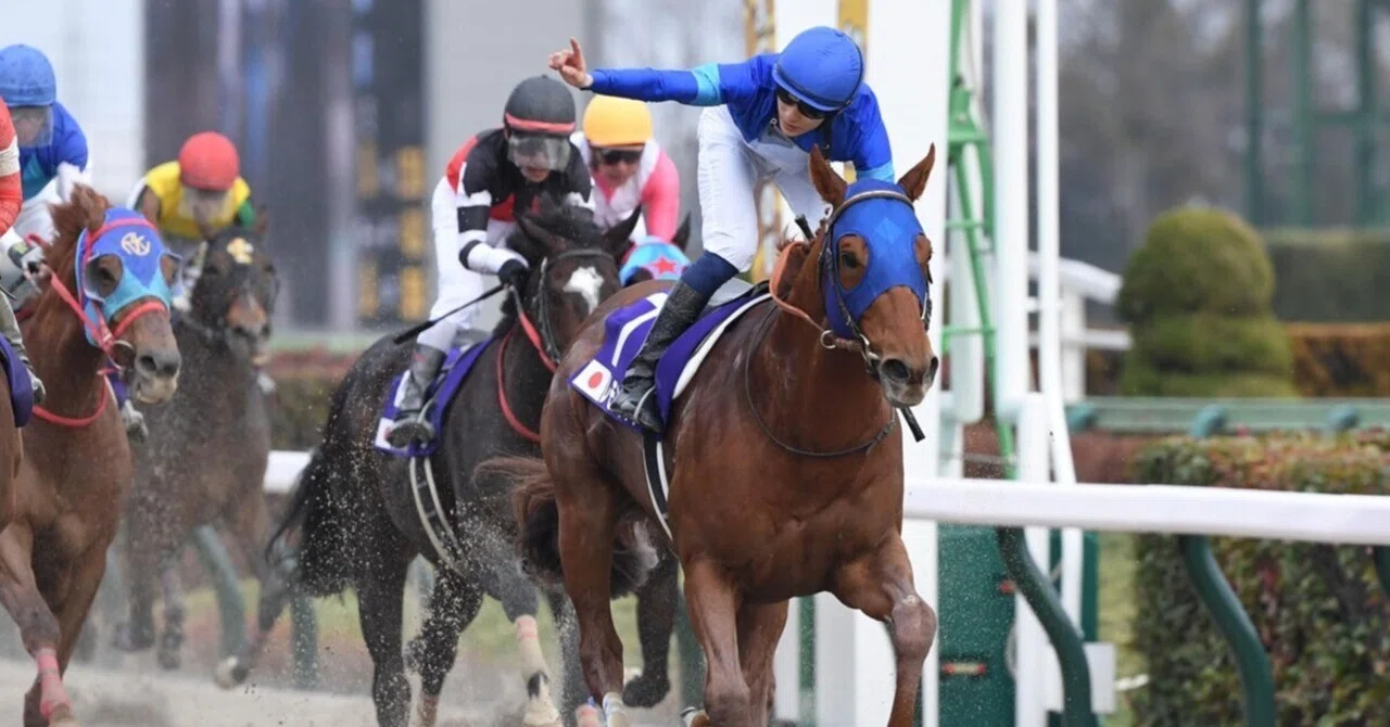 [Data Edition] Mile Championship Nambu Hai 2025: The Laws of 'Numbers ...