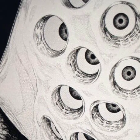 ç»å