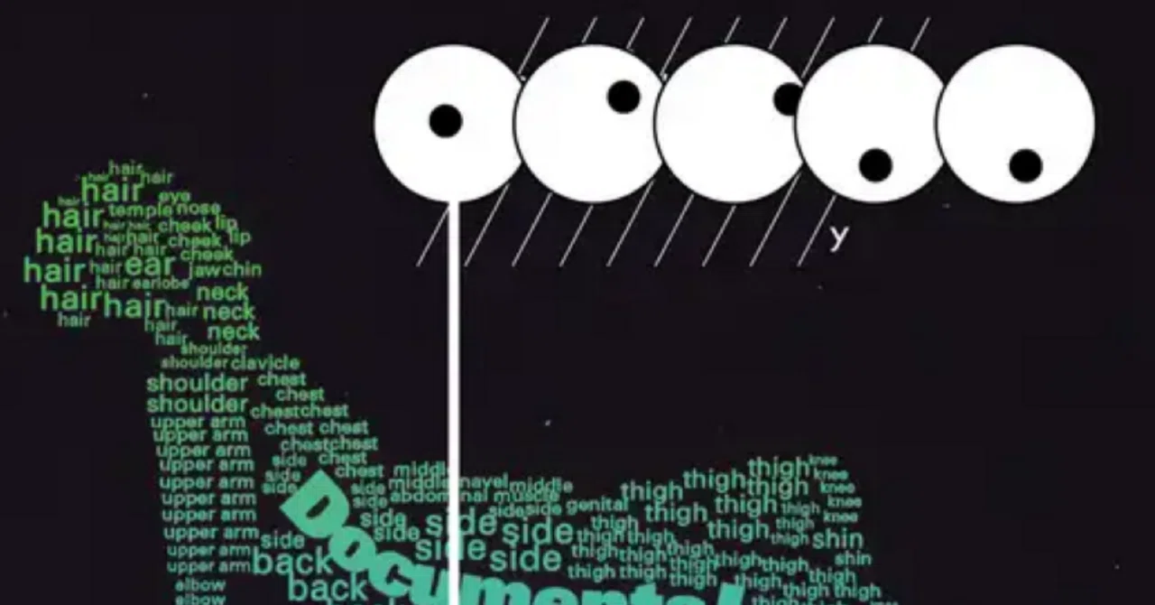サカナクション 5th Album Documentary 180g重量盤2LPアナログレコード 