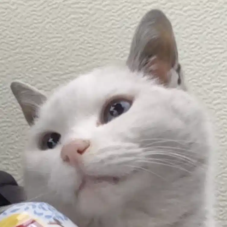 choco