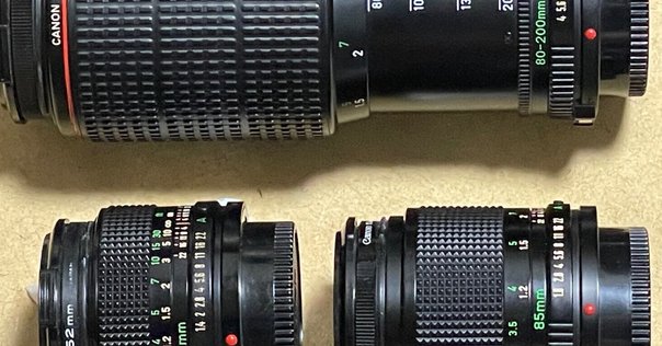 作例ありNikon ED AF 70-300mm f/4-5.6D ズームレンズ Nikon AF-P DX NIKKOR 70-300mm f/4.5-6.3G ED VRを徹底解説