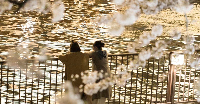 桜ポートレート