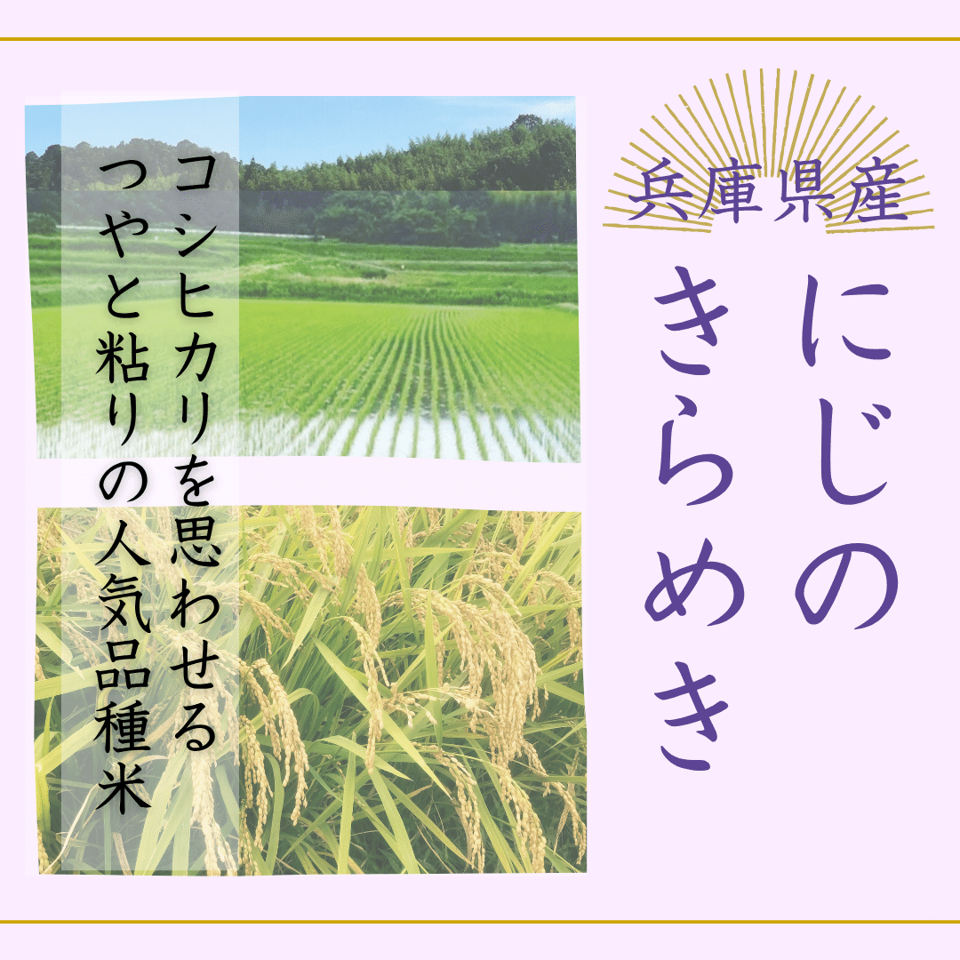 令和七年度 兵庫県産にじのきらめき☆コシヒカリみたいな注目品種