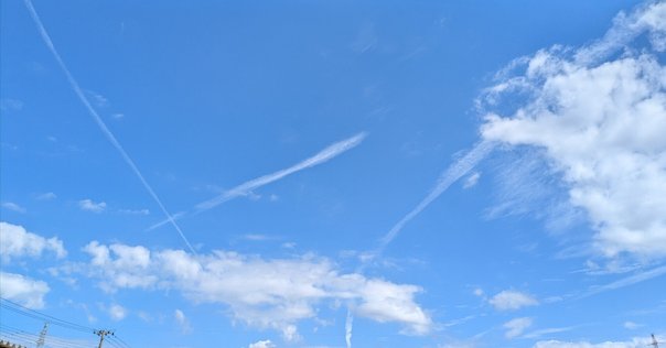 アントカインド チャーリー・カウフマン　antkind Crimsonowl on X